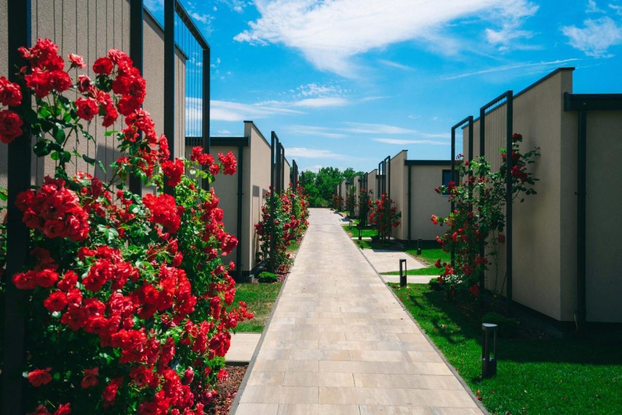 San Servolo Wellness Buje